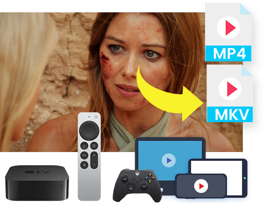 Plex Downloader features