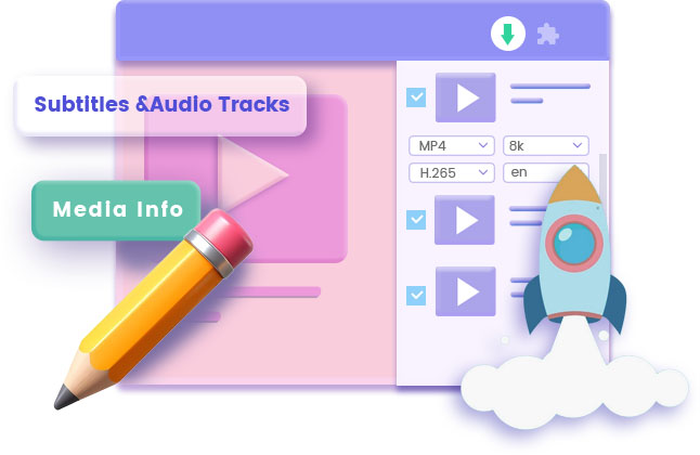 Video Downloader for Browser features