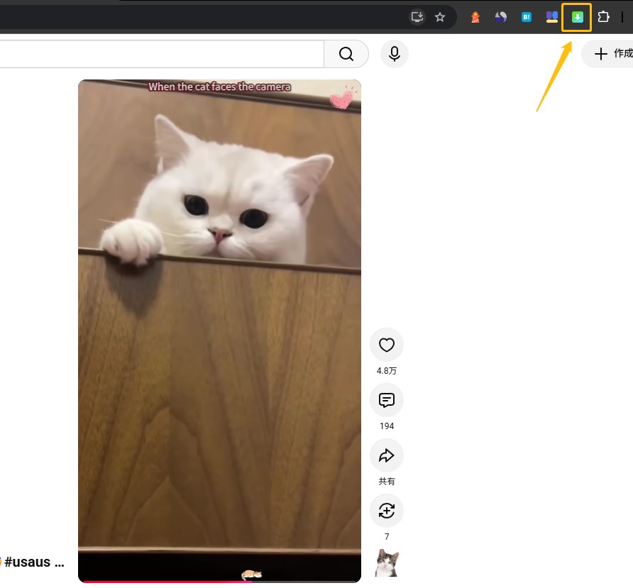 Video Downloader for Browser Step2