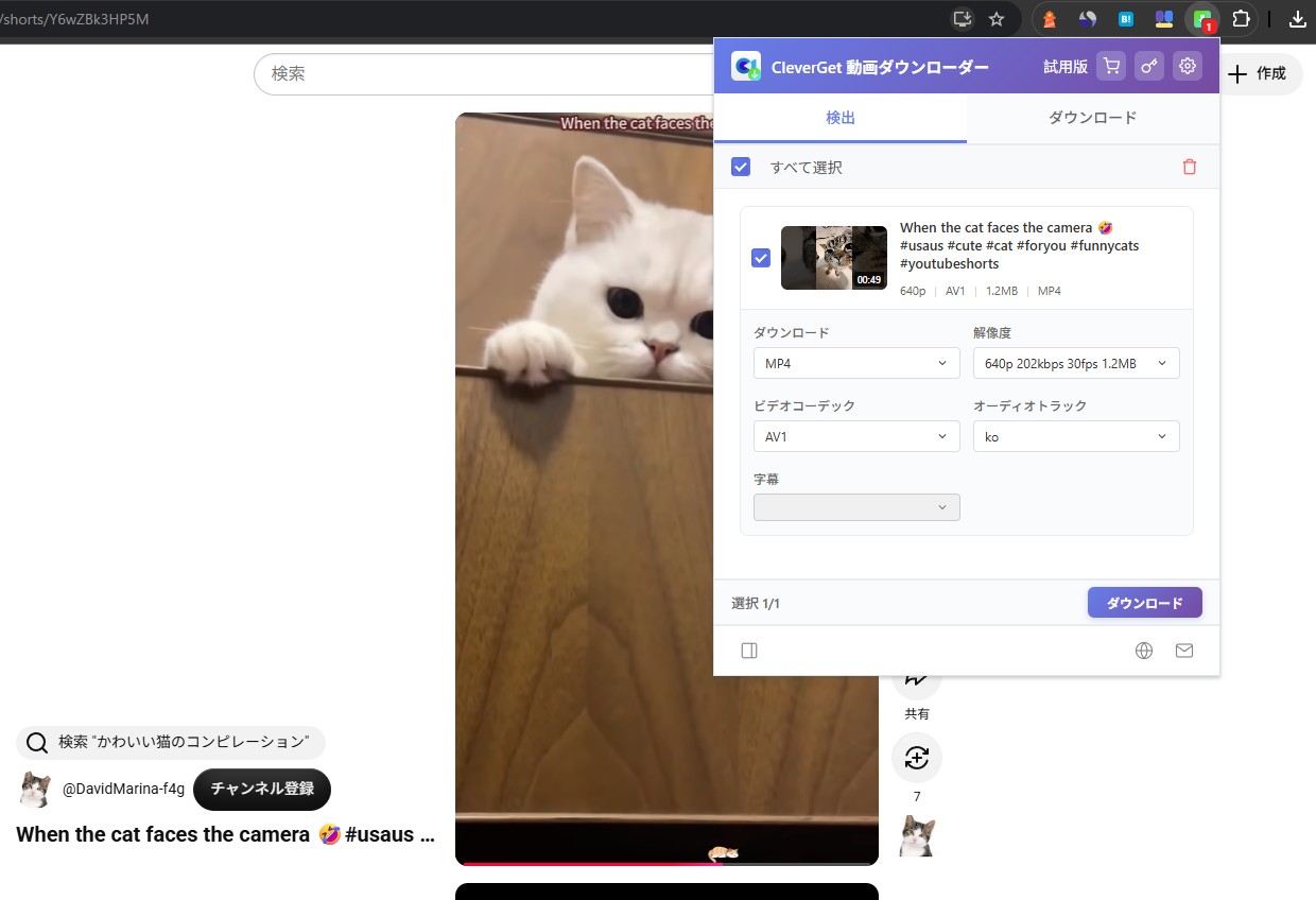 Video Downloader for Browser Step3