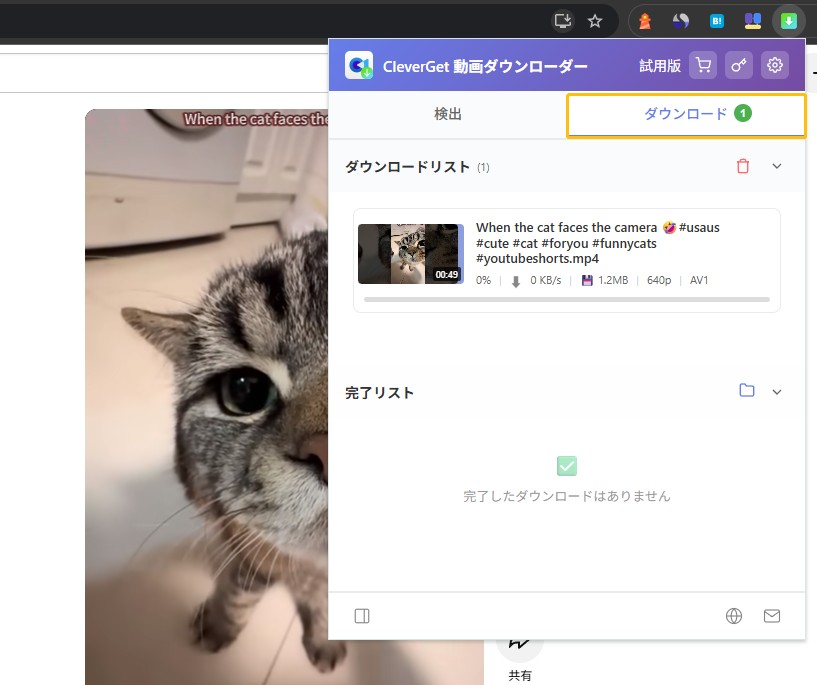 Video Downloader for Browser Step4