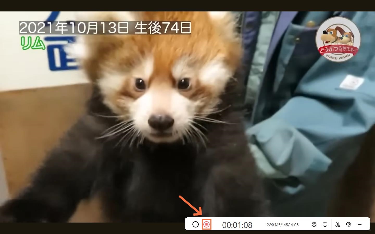youtube-録画-Leawo-完全無料の高機能PC画面録画ソフト-3 youtube-録画-Leawo-完全無料の高機能PC画面録画ソフト-3