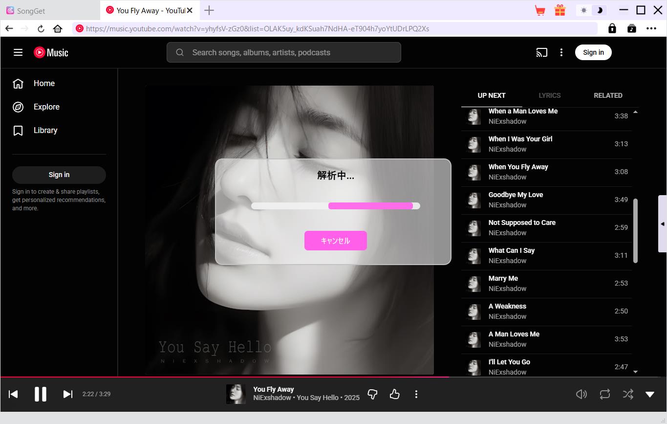 YouTube Music ダウンロード YouTube Music 解析